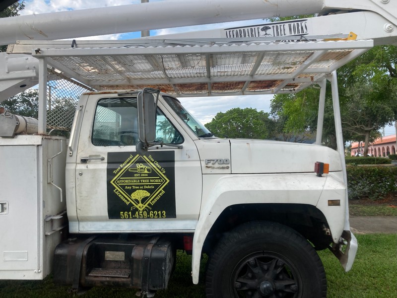 Affordable Tree Works