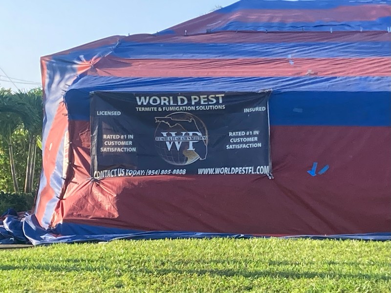 World Pest Control